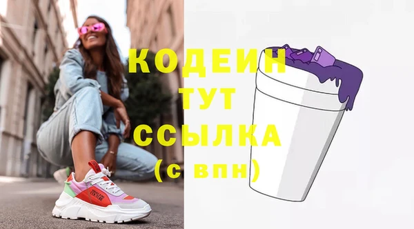 индика Ханты-Мансийск