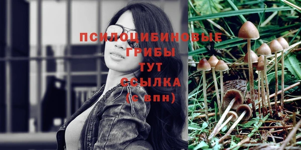 индика Ханты-Мансийск