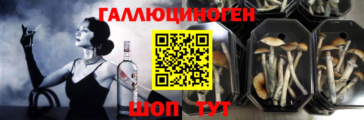 цены   Златоуст  Псилоцибиновые грибы ЛСД 