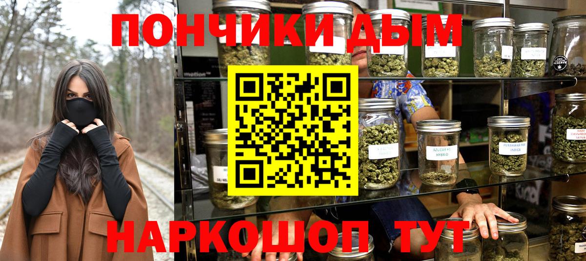 Каннабис сатива  Канабис гибрид  Златоуст  Конопля THC 21%  МАРИХУАНА семена 